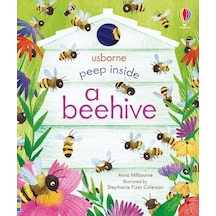 Peep Inside A Beehive