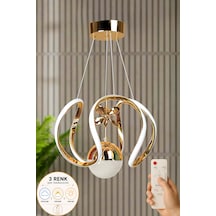 Rose Model 3 Renk Kumandalı Salon Yemek Çocuk Odası Hol Antre Koridor Gold Kaplama Led Sarkıt Avize