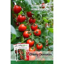 30 Adet Cherry Domates Tohumu