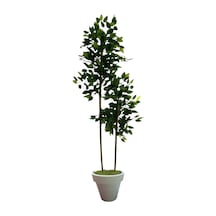 120 Cm Benjamin 2 Çubuklu Beyaz Plastik Saksı Yeşil
