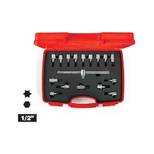 İzeltaş Lokmalı Allen Uç Star Torx Uç Takım 17 Parça 1113 00 6017