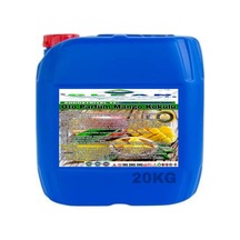 CLEAN OTO PARFÜM MANGO KOKULU 20KG