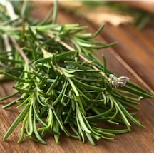 Bahçevilya 2 Adet Saksılı Biberiye Rosmarinus Officinalis