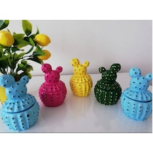 Dekoratif Kaktüs Lokumluk