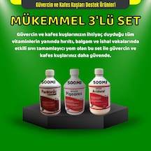 Royal Güvercinler İçin Mükemmel Üçlü Set Acidoral Pigeorex Pantonic  500 ML