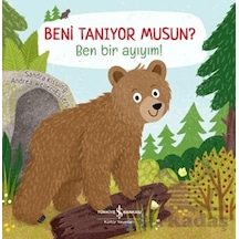 Beni Tanıyor Musun Ben Bir Ayıyım İş Bankası Kültür Yayınları