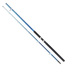 Remıxon Blue Bırd 3.00m 100-200gr 2p Kamış