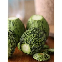 Erdem Garden Doğal Turşuluk Kavun Kelek Hıdır 100 Ad. Tohum Sku: Smg8690010014559 Açık Gri