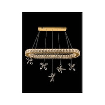 Gold 3 Renk