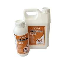 Royal İlaç Anti Stress lyte 5 lt sıcaklık ve verim desteği