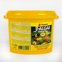500 Adet Tropical 3-Algae Tablets A Kovadan Bölme Tablet Balık Ye