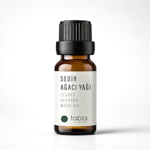 10 ML