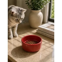 Hubrendy Sh Kase Model Beton Kedi Köpek Mama Ve Su Kabı 15cm Çap 5cm - Kiremit
