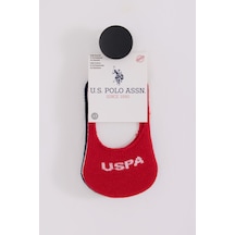 U.S. Polo Assn. U.s. Polo Assn Bebek Erkek Bebek Beyazlacivertkırmızı Bebek Corap Beyaz/lacivert/kırmızı