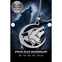 Gücün Ve Özgürlüğün Sembolü Paslanmaz Çelik Hilal İçerisinde Bozkurt Kurt Kolye Gümüş