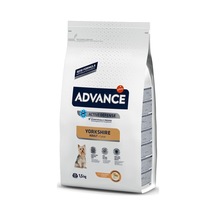 Advance Yorkshire Terrier Tavuklu Yetişkin Köpek Maması 1500 G