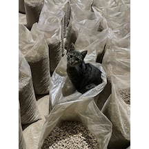 Kedi Kumu 20kg %100 Çam Peleti 6mm Odun Peleti 20kg Çuval