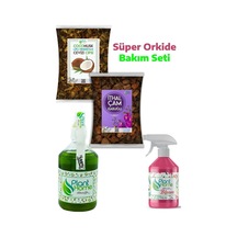 1 L