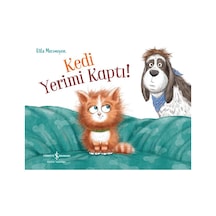 Kedi Yerimi Kaptı