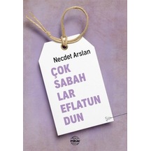 Çok Sabahlar Eflatundun - Necdet Arslan - Mühür Kitaplığı