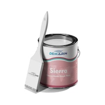 Sierra Tek Bileşenli Her Şeyi Boyayan Boya 1 KG