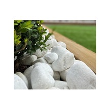 Asenya Dolomit Taş 10 Kg 6-10 Cm Beyaz Dolomit Taş Saksı Dibi Dekoratif Taş Bahçe Süsleme Taşı Peyzaj Taşı