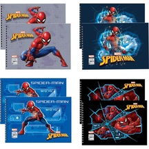 Spider 17x25 15 Yp.resim Defteri 8'li