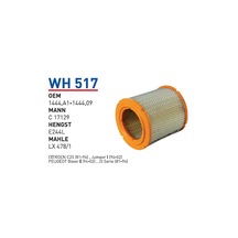 Wh517 Oem 1444.a1-1444.09 Oem 71736135 Fiat Ducato Otomobil Hava Filtre Air Filter