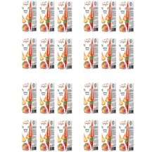 Meysu Şeftali Nektarı 200 Ml X 24 Adet
