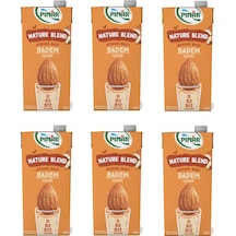 Pınar Nature Blend Bitkisel Bazlı Badem İçeceği 1 Lt X 6 Adet
