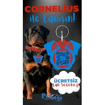 Petjoo 20.Cornelius Mavi-Kırmızı Qr'lı Köpek Künyesi