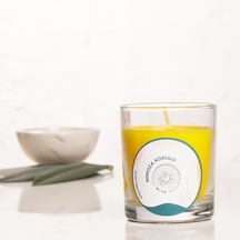 Mitr Mimoza Kokulu Bardak Mum Çok Renkli