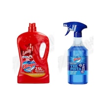 Bingo Yüzey Temzileyici 2,5 L + Kireç Çözücü 900 Ml 2'li Set Diğer