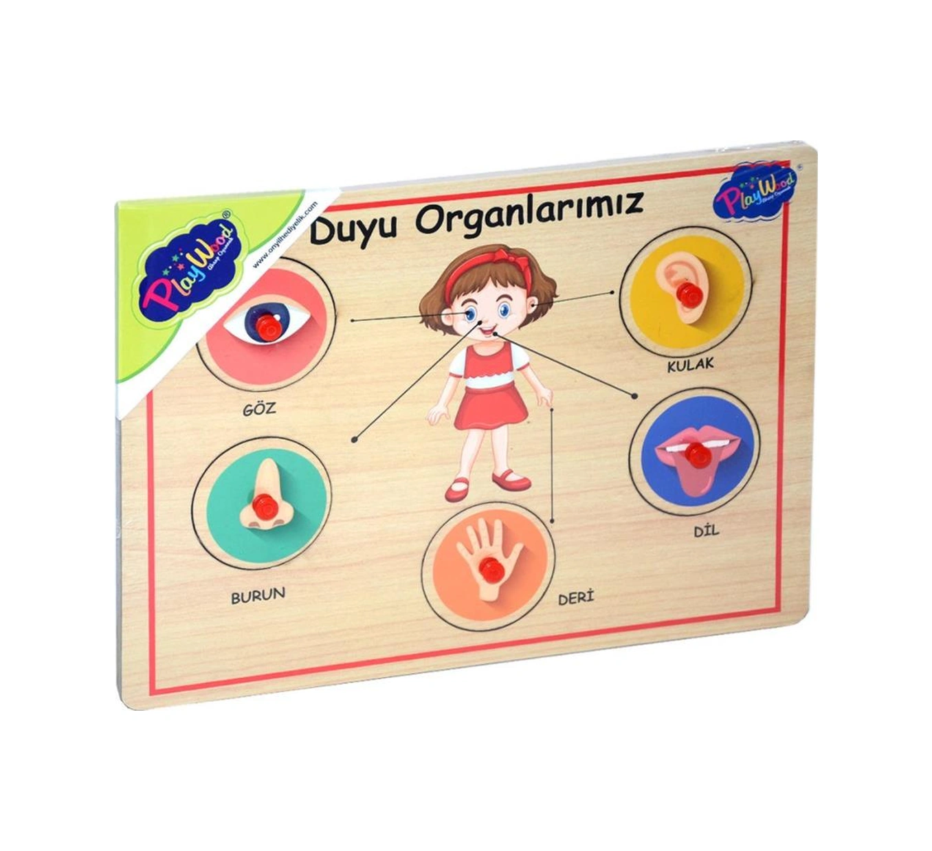 166/167 Onyıl, Ahşap Tutmalı Organlar