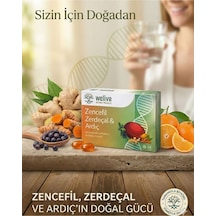 Zencefil Zerdeçal Ardıç Mandalina Aromalı Bitkisel Drops Boğaz Rahatlatıcı Pastil 24 Adet