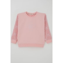 Breeze Kız Çocuk Sweatshirt Kolları Çiçek Aplike İşlemeli File Detaylı 5-10 Yaş, Pembe Pembe