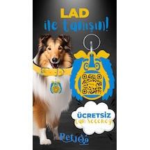 Petjoo 23.Lad Mavi-Sarı Qr'lı Köpek Künyesi