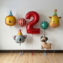 Neşeli Dostlar Balon Seti Çok  Renkli