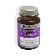 Wellcare Magnezyum+Vitamin B6 30 Tablet