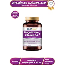 Wellcare Magnezyum + Vitamin B6 60 Tablet