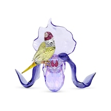 5675211 Swarovski Biblo Idyllıa:gouldıan Fınch And Orchıd