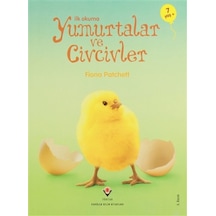 İlk Okuma  - Yumurtalar Ve Civcivler  - Sevil Kıvan  - Tübitak Yayınları