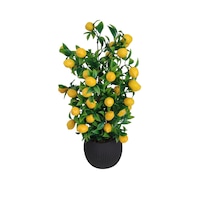 Limon Ağacı Mutfak Süsü 50 Cm Antrasit Saksıda