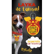 Petjoo 22.Layka Sarı-Kırmızı Qr'lı Köpek Künyesi