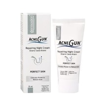 Dermoskin Acnegun Onarıcı Gece Kremi 35 G