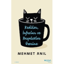 Kediler İnfazlar ve Hayaletler Üzerine - Mehmet Anıl - Can Yayınları