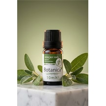 10 ML