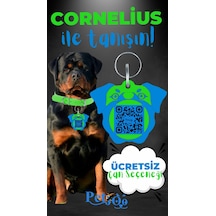 Petjoo 20.Cornelius Mavi-Yeşil Qr'lı Köpek Künyesi