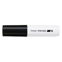 Pilot Pintor B, Siyah Genel