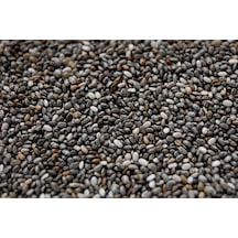 Chia Tohumu 100GR